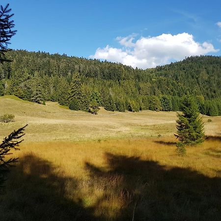 Chalet Biazot Xonrupt-Longemer Eksteriør billede